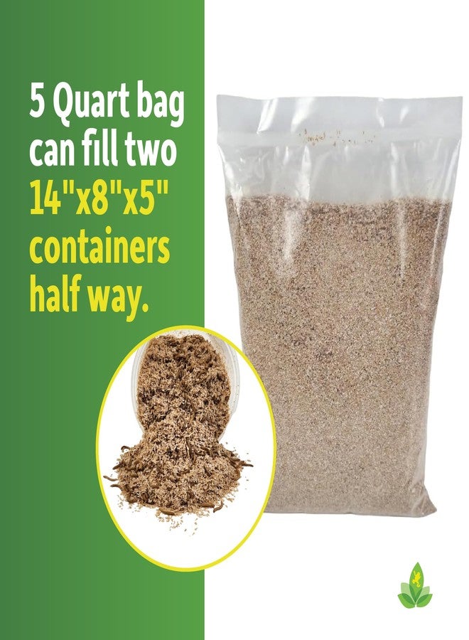 Josh's Frogs Mealworm & Superworm Wheat Bran Bedding and Food Source (5 Quarts) - Image 5
